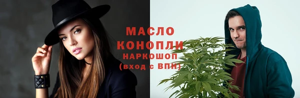 дживик Слюдянка